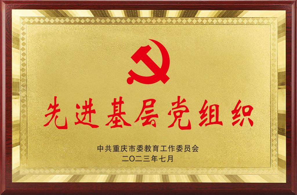 先进基层党组织png.png